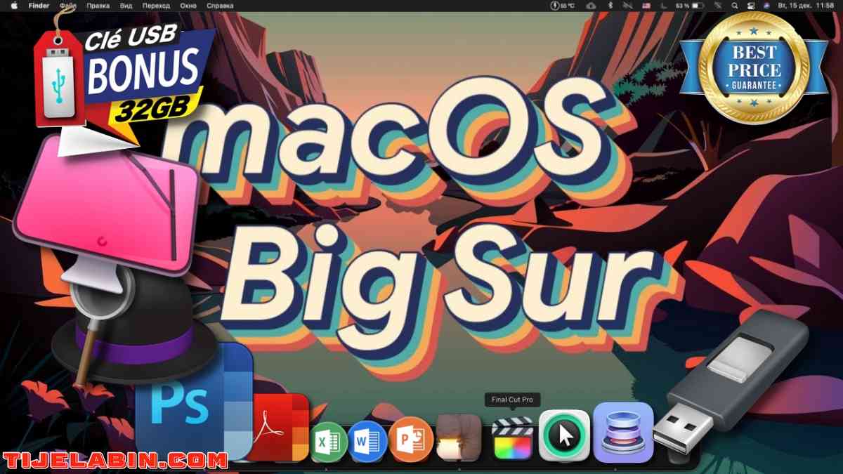 Systéme macOS Big Sur Bootable sur clé USB 32GB + 170 Logiciels Professionnel Bonus - Beni Messous, Alger - Tijelabin