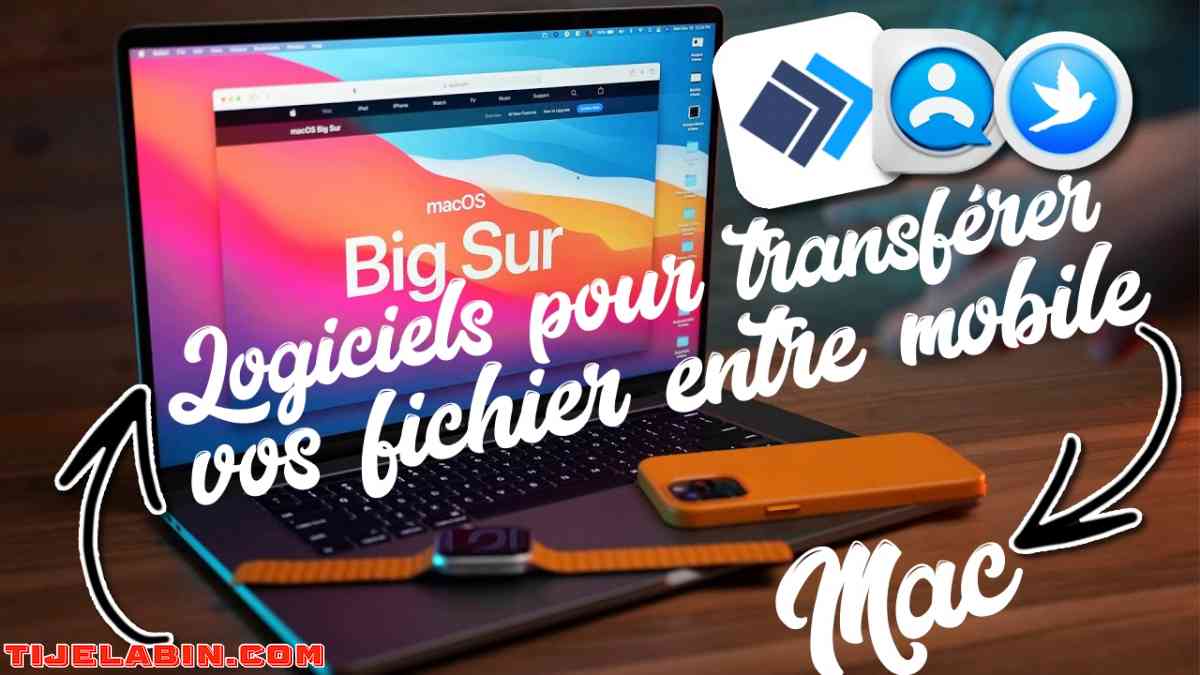 Systéme macOS Big Sur Bootable sur clé USB 32GB + 170 Logiciels Professionnel Bonus - Beni Messous, Alger - Tijelabin