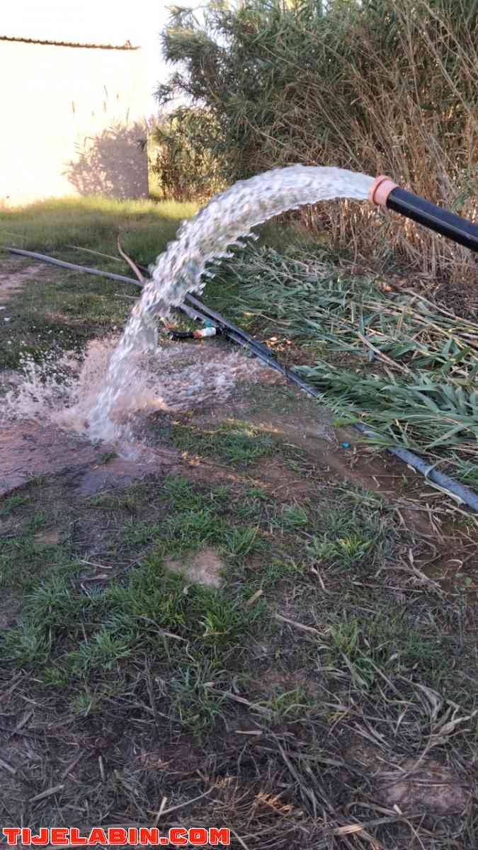 ارض زراعية - Bou Saada, M'Sila - Tijelabin