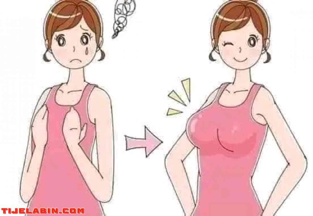 بوش آب أرفيا - Ngaous, Batna