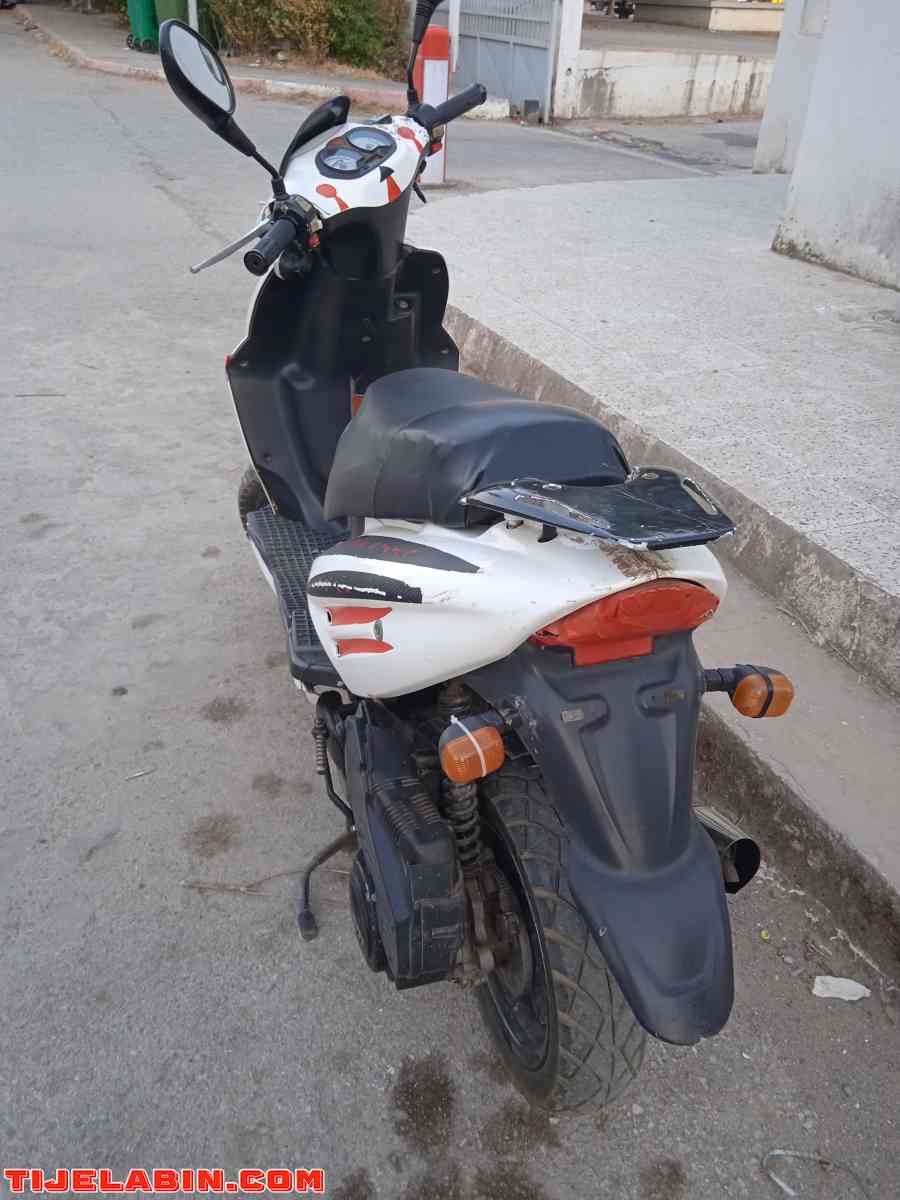 فيسبا عيوشا2012 - Lac Des Oiseaux, El Tarf - Tijelabin