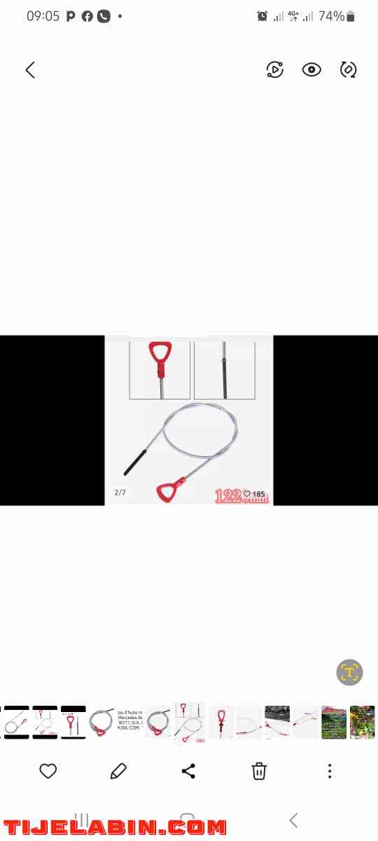 jauje - Alger Centre, Alger - Tijelabin