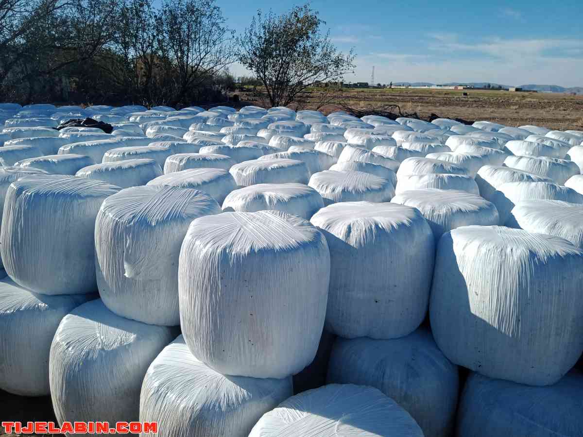 لونسيناج ذره