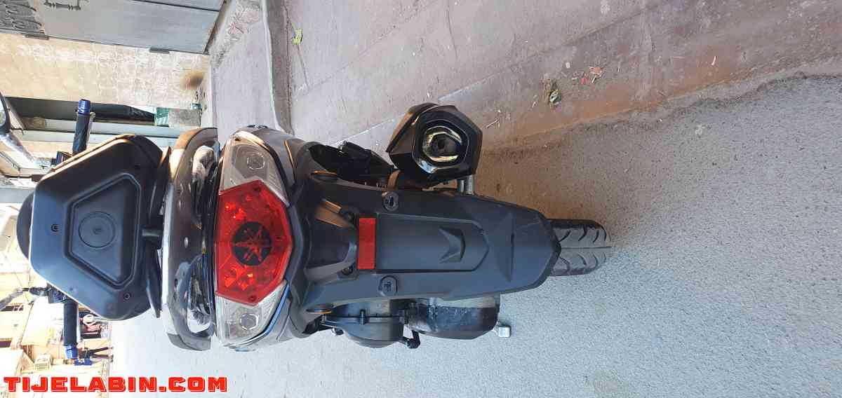 symphonie ST 2019 machi 12 elf - Houari Boumediene, Guelma - Tijelabin