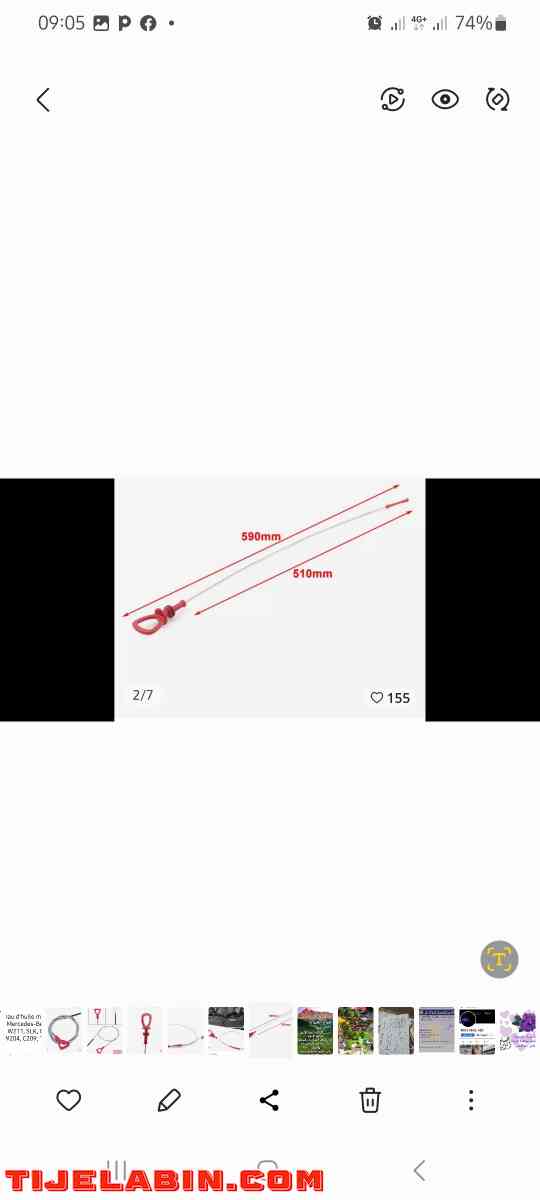 jauje - Alger Centre, Alger