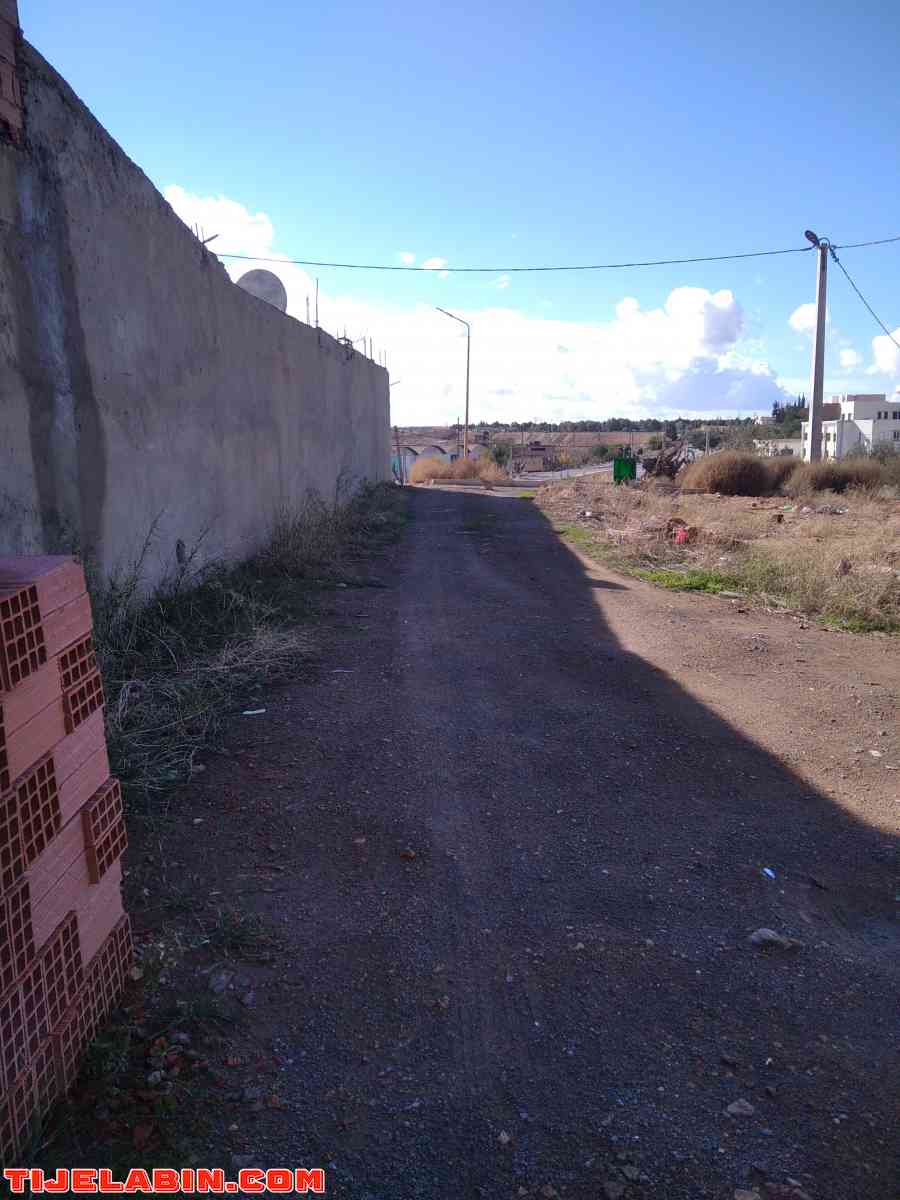 lot de terrain à bâtir 241 mètre carré - Sidi Hamadouche, Sidi Bel Abbes - Tijelabin