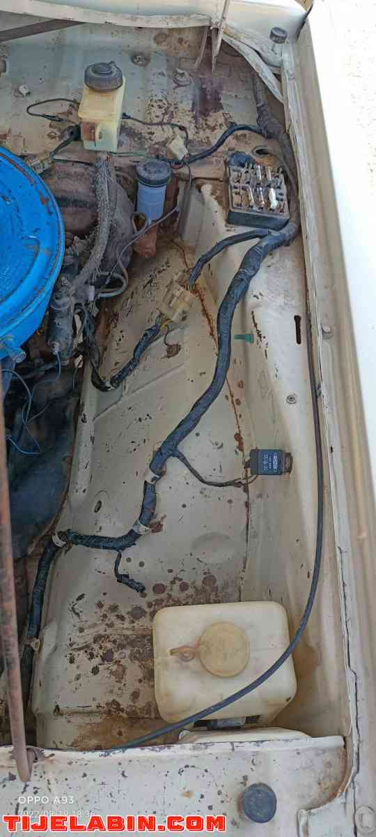 مازدا 1983 - Oggaz, Mascara - Tijelabin