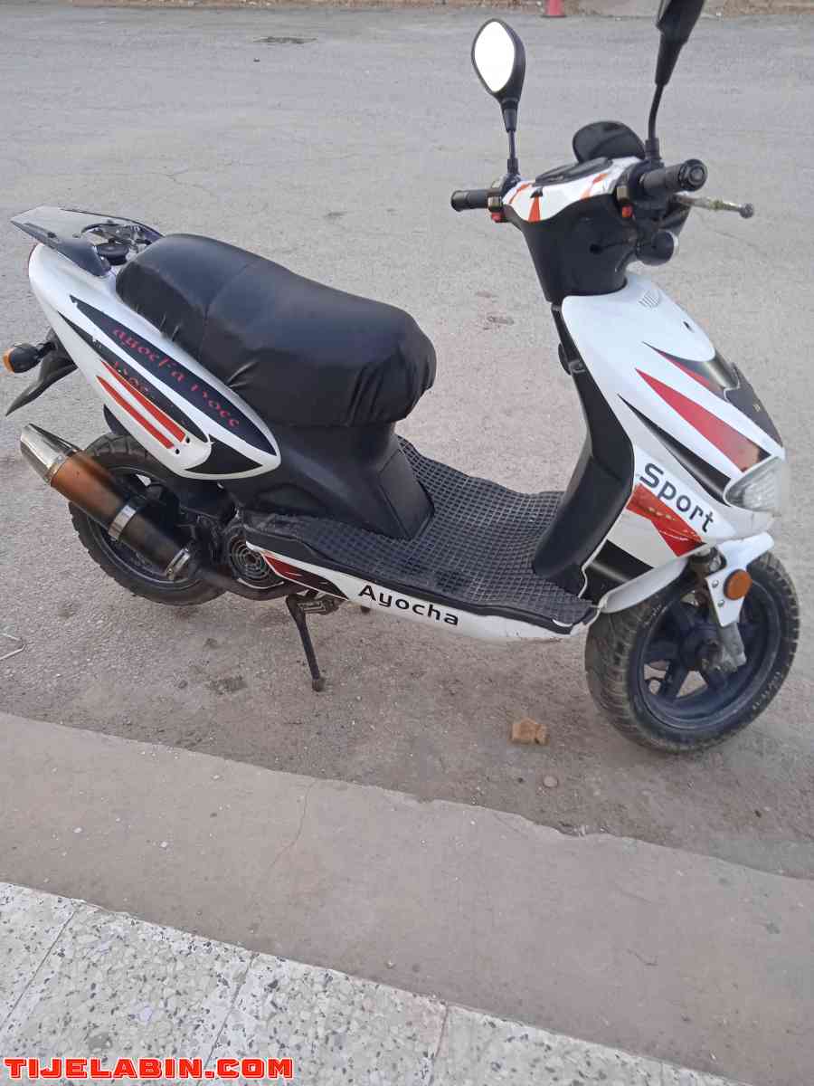 فيسبا عيوشا2012