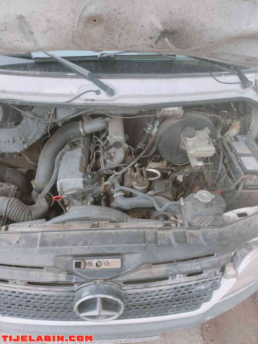 sprinter - Nedroma, Tlemcen - Tijelabin