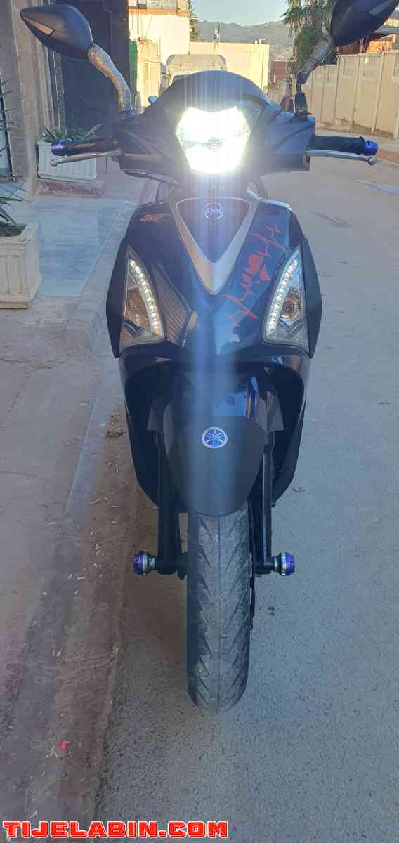 symphonie ST 2019 machi 12 elf - Houari Boumediene, Guelma - Tijelabin