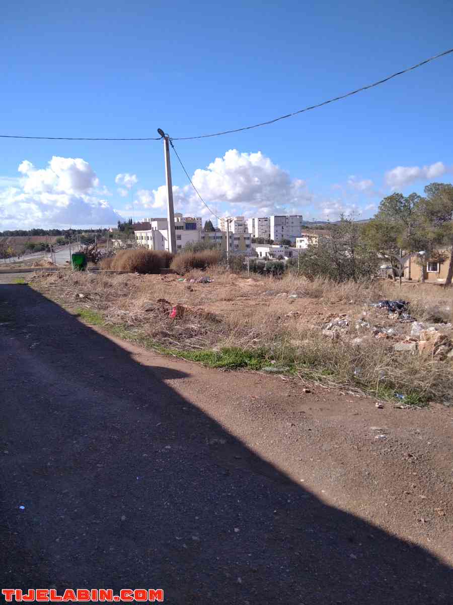 lot de terrain à bâtir 241 mètre carré - Sidi Hamadouche, Sidi Bel Abbes - Tijelabin