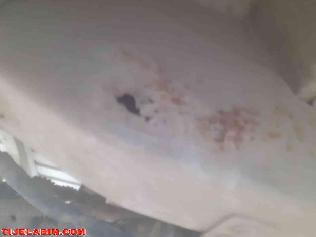 newking 2013 - Setif, Setif - Tijelabin