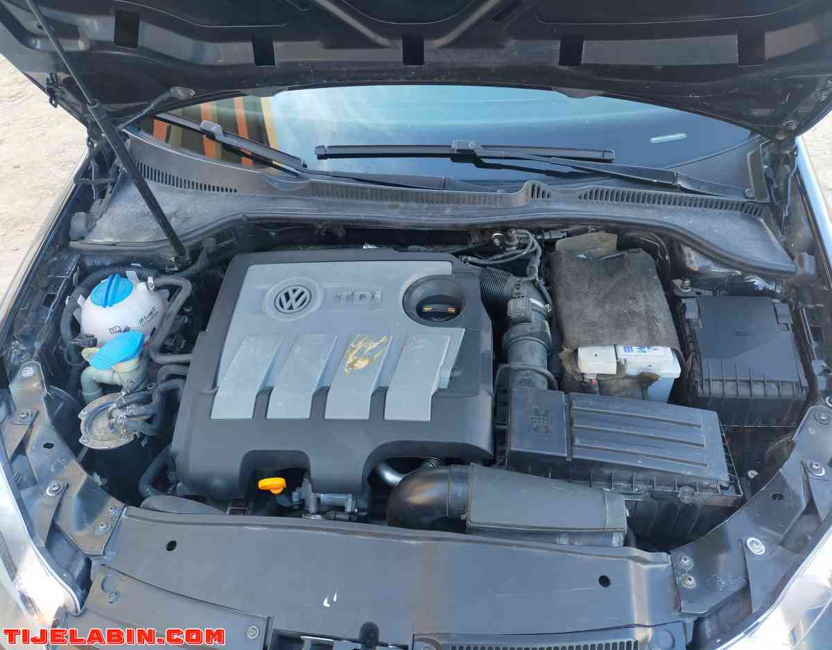 golf 6 team - Alger Centre, Alger - Tijelabin