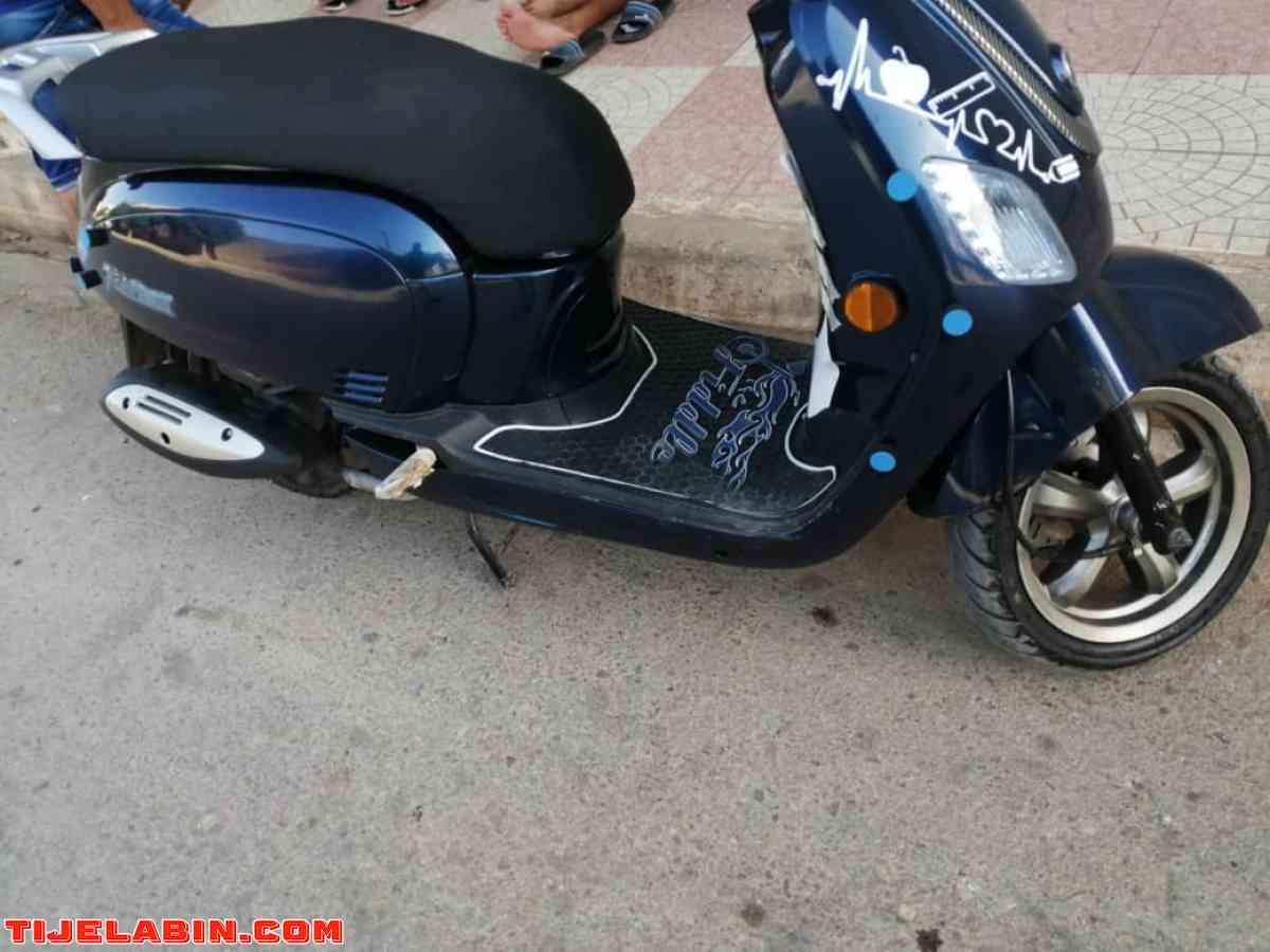 Fiddel 3 - Beni Rached, Chlef