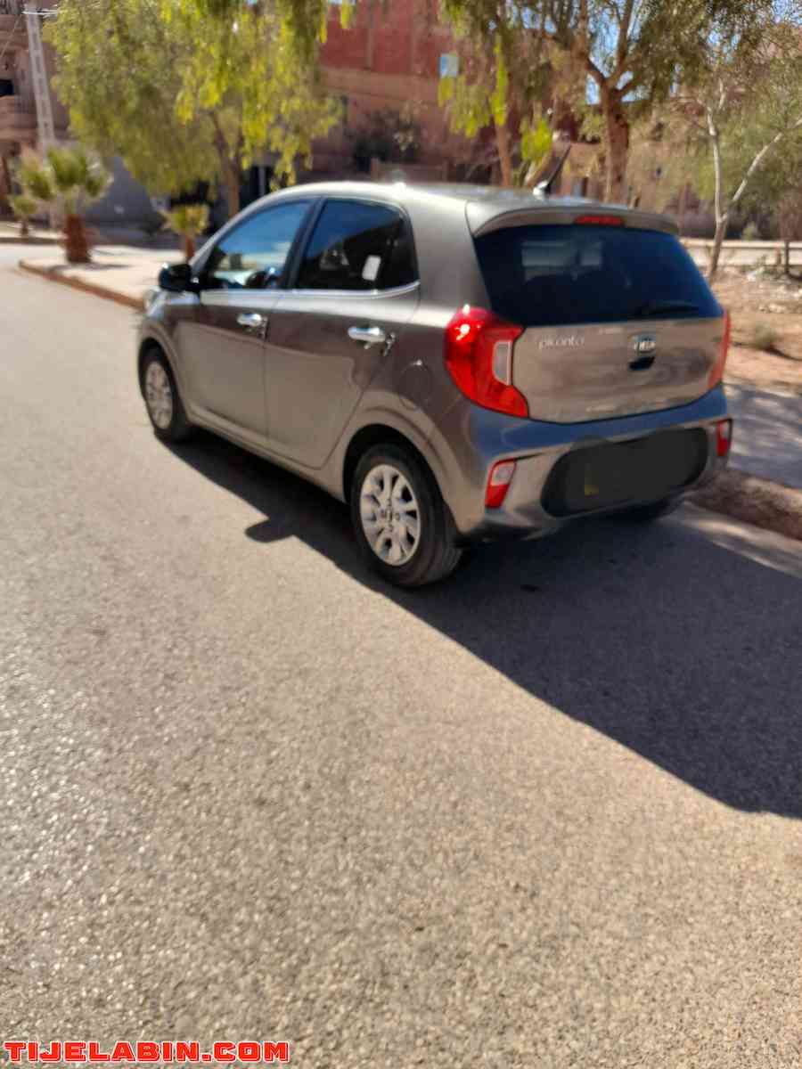 كيا بيكانتو - Ain Sefra, Naama - Tijelabin