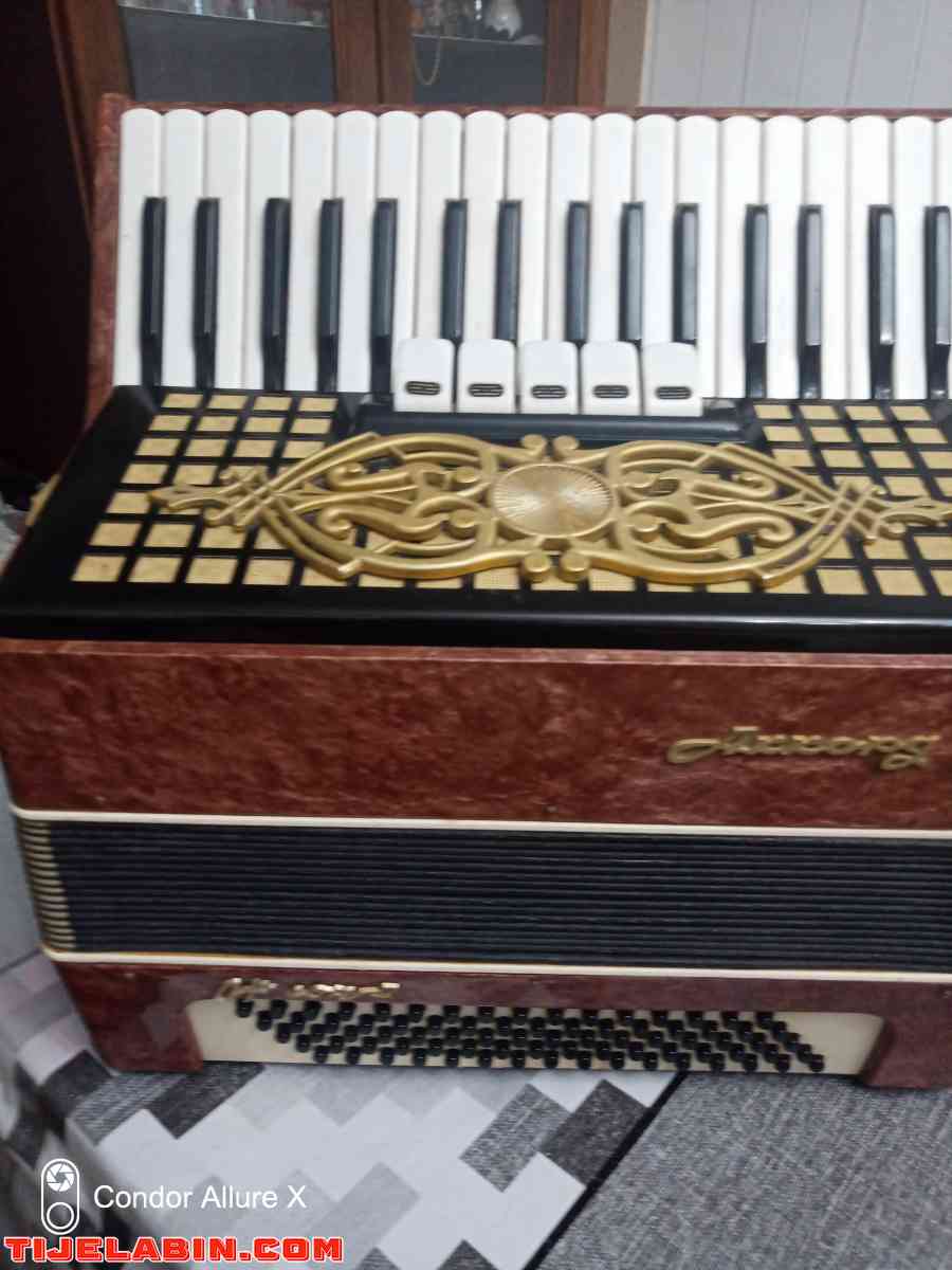 accordéon - El Harrach, Alger - Tijelabin