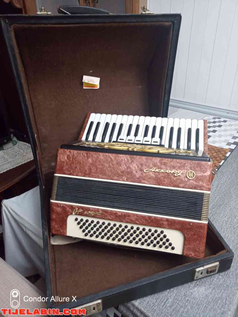 accordéon - El Harrach, Alger - Tijelabin