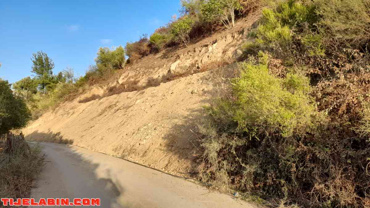 terrain - Aokas, Béjaïa - Tijelabin