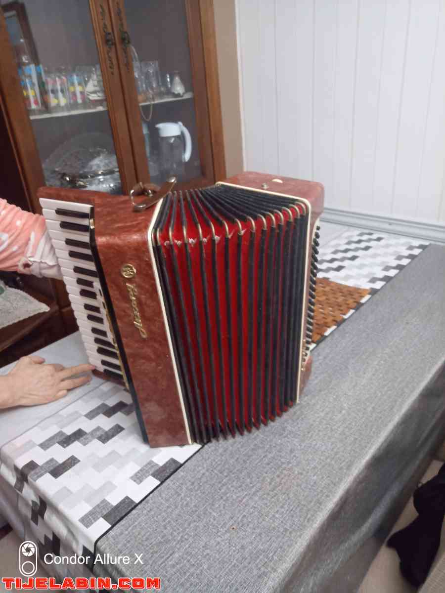 accordéon - El Harrach, Alger
