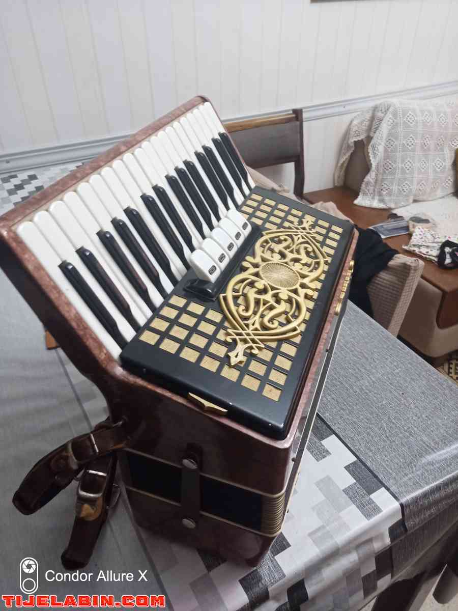 accordéon - El Harrach, Alger - Tijelabin