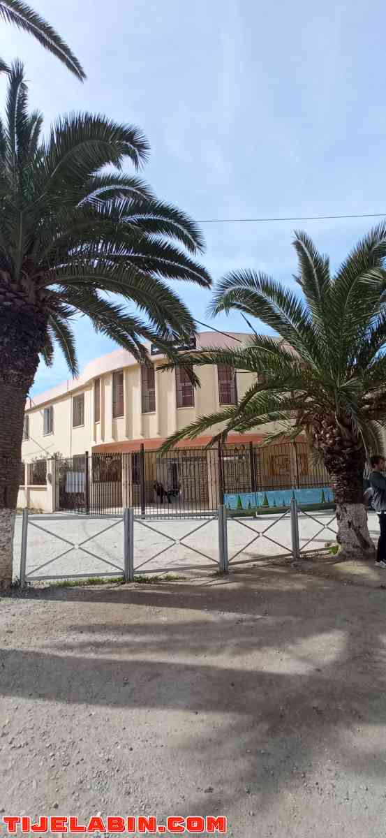 برطمات للبيع في برج البحري ماتراطيش