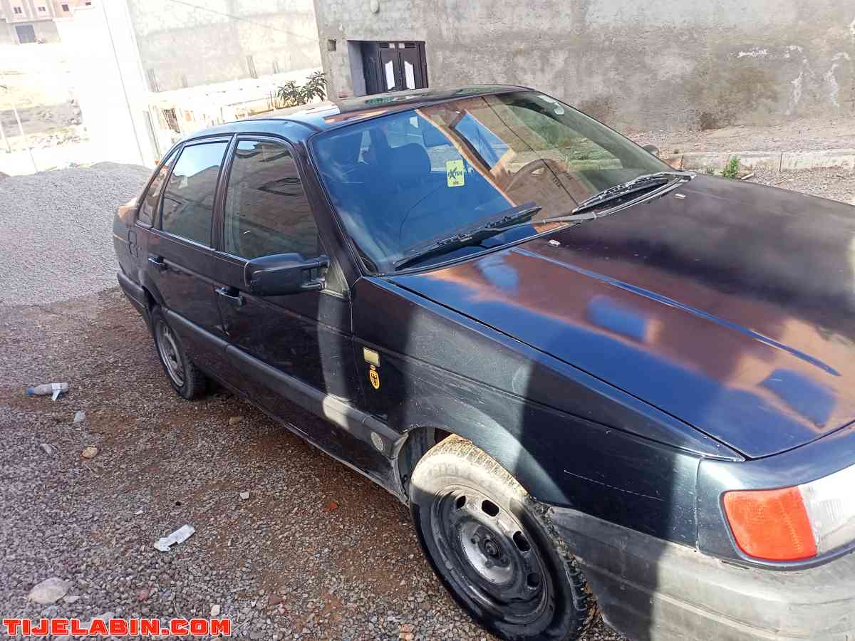 بسات 1.9 نقية - Maghnia, Tlemcen - Tijelabin