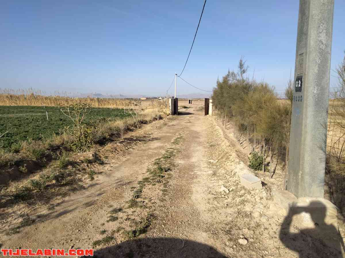 الأرض فلاحية - Bou Saada, M'Sila - Tijelabin