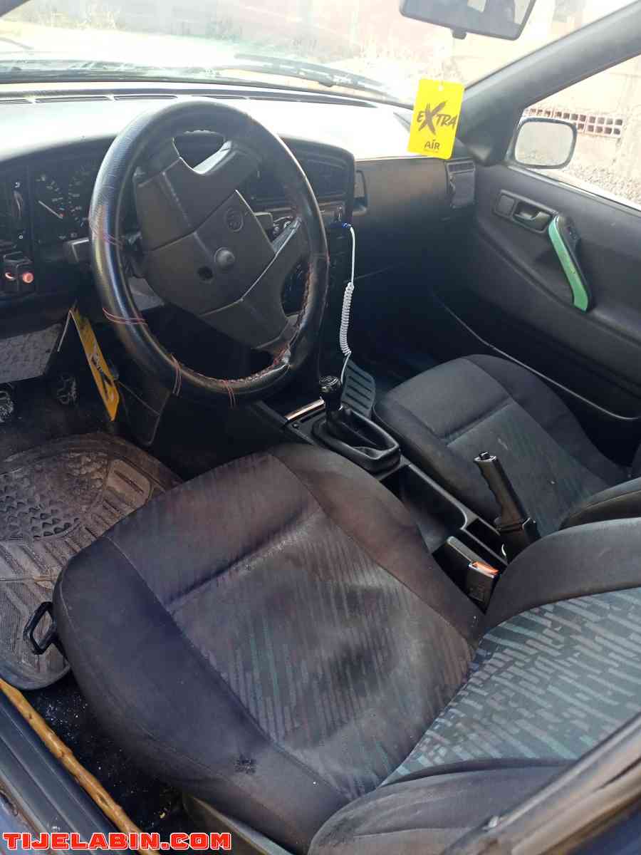 بسات 1.9 نقية - Maghnia, Tlemcen - Tijelabin