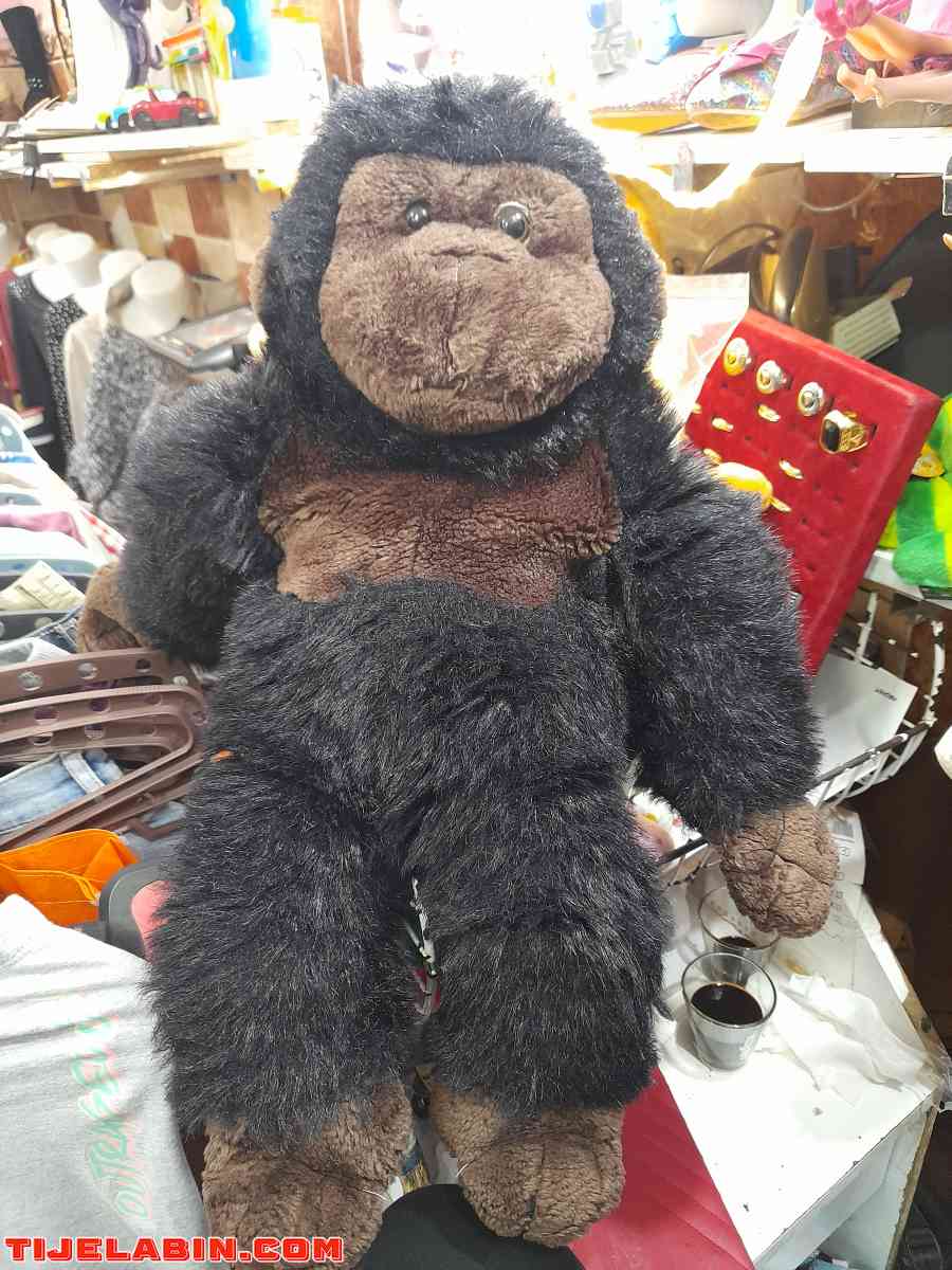 العاب - Alger Centre, Alger - Tijelabin