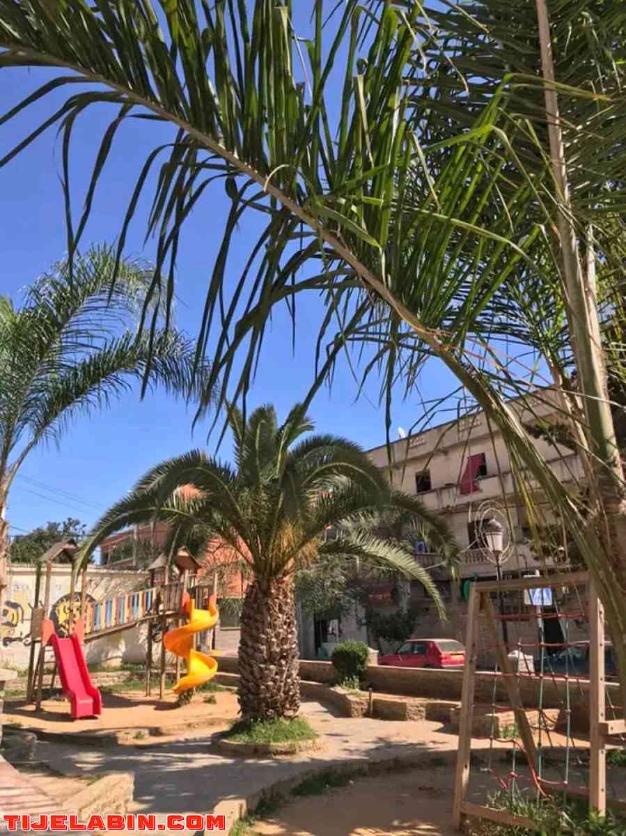 شقق للبيع في بوليو  إقامة قريبة من كل المرافق الضرورية - El Harrach, Alger - Tijelabin