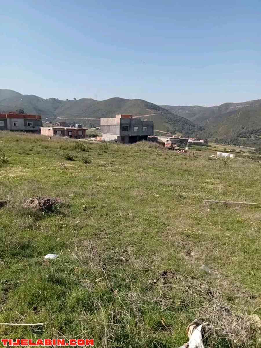 بيع قطع ارض في تواشنة ضواحي قورصو و بودواو - Corso, Boumerdes - Tijelabin