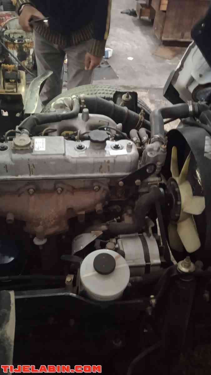 Jamciii - Alger Centre, Alger - Tijelabin