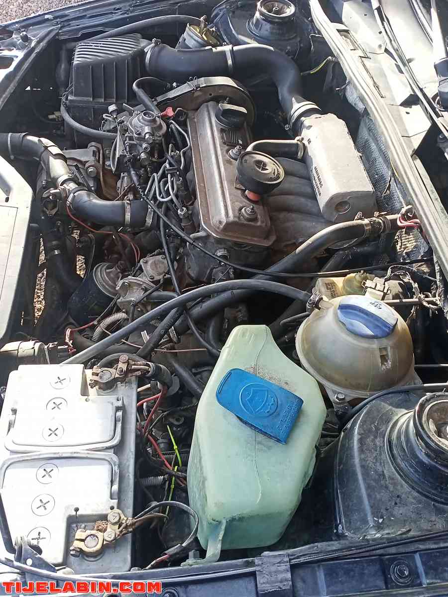 بسات 1.9 نقية - Maghnia, Tlemcen - Tijelabin