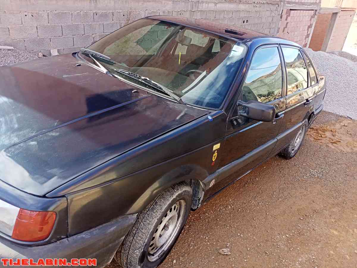 بسات 1.9 نقية - Maghnia, Tlemcen - Tijelabin