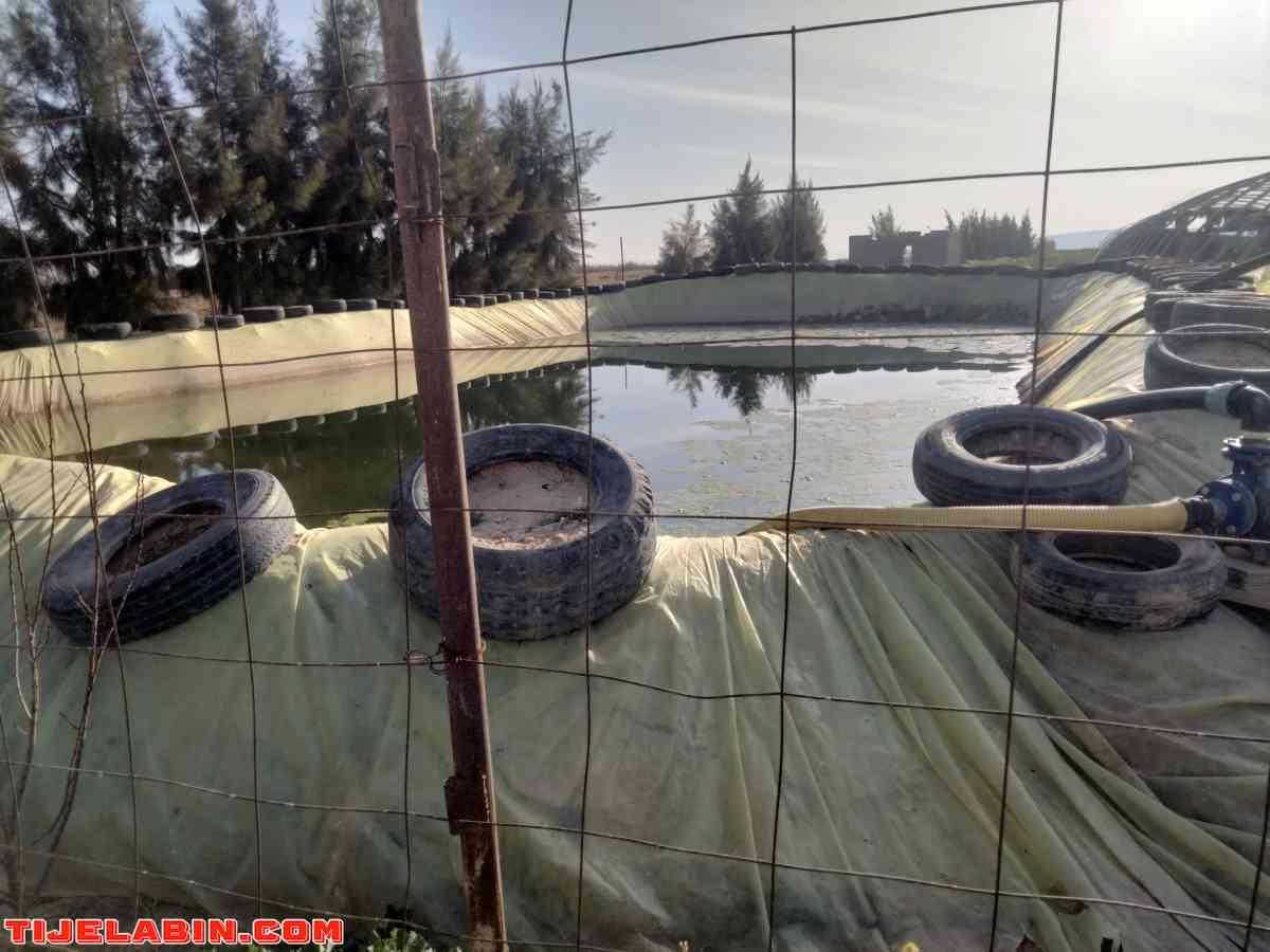 الأرض فلاحية - Bou Saada, M'Sila - Tijelabin