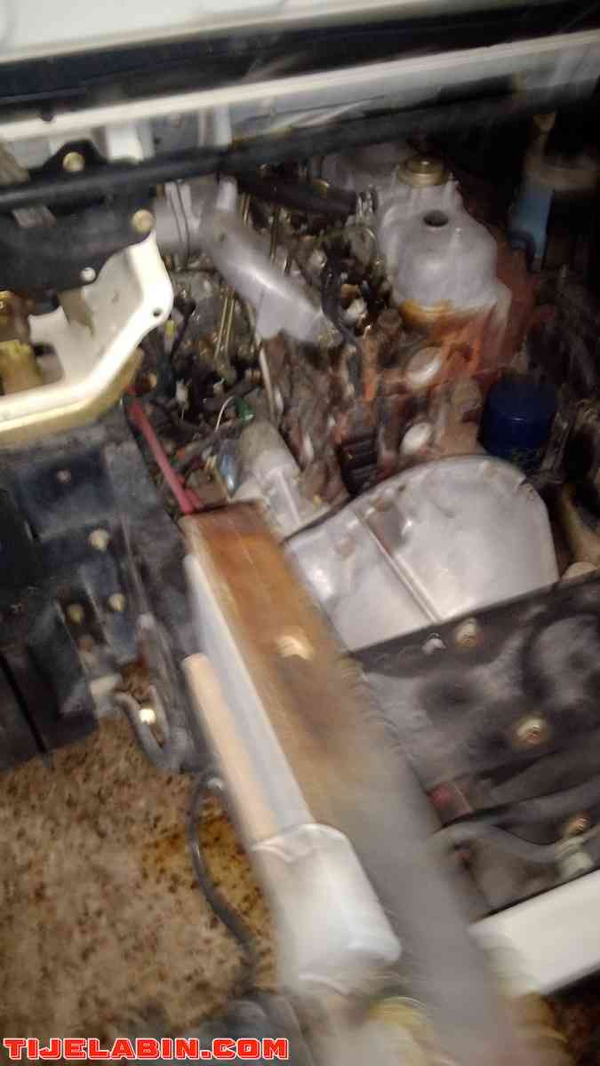 جيامسي - Alger Centre, Alger - Tijelabin