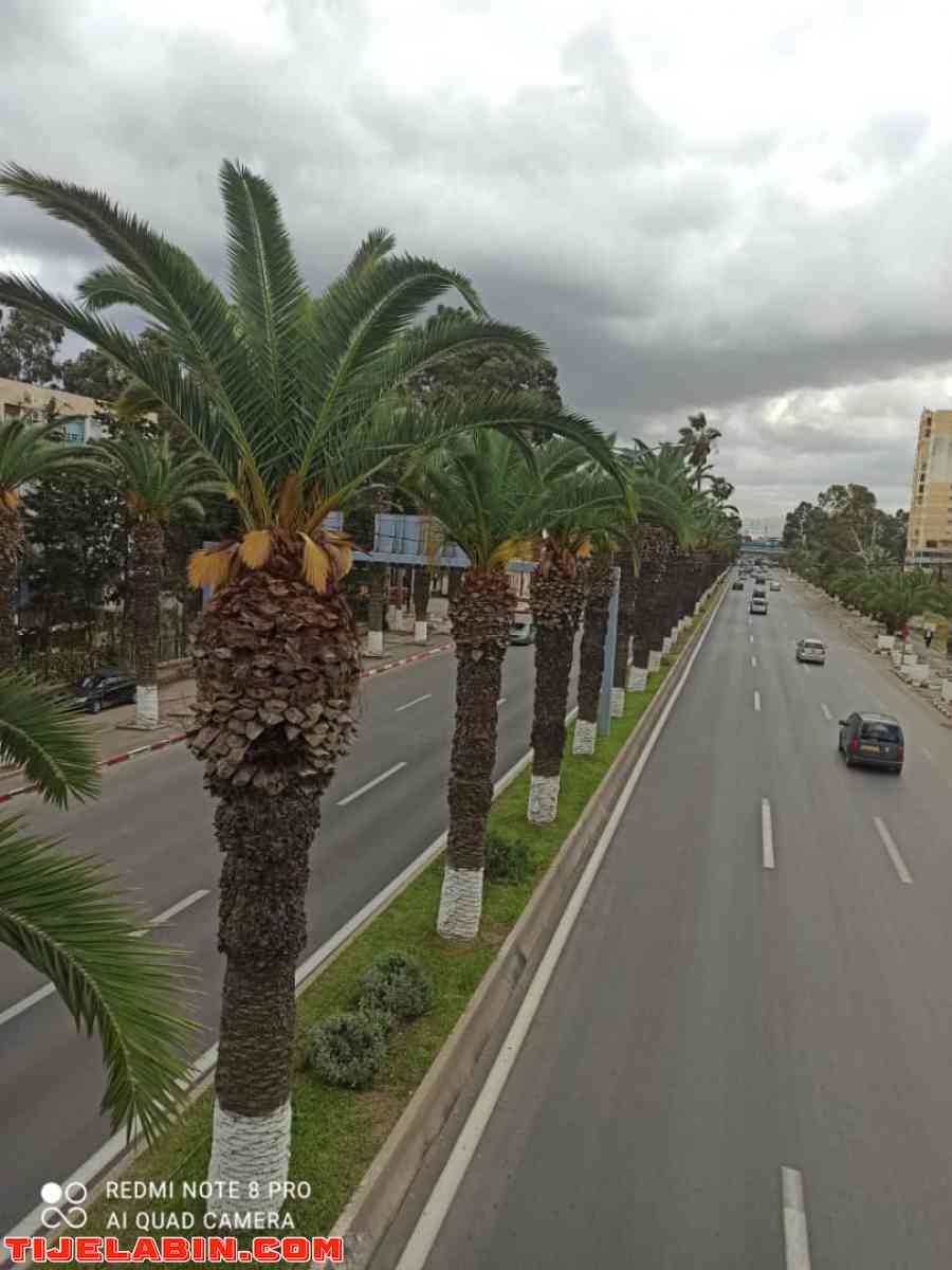 des appartements a dar el beida 0550 33 13 40 - Alger Centre, Alger