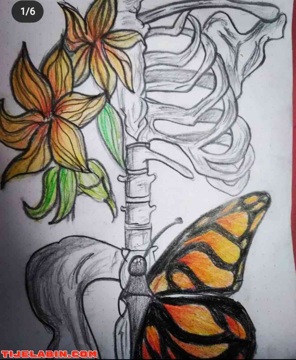 رسمات روعة  - Alger Centre, Alger - Tijelabin