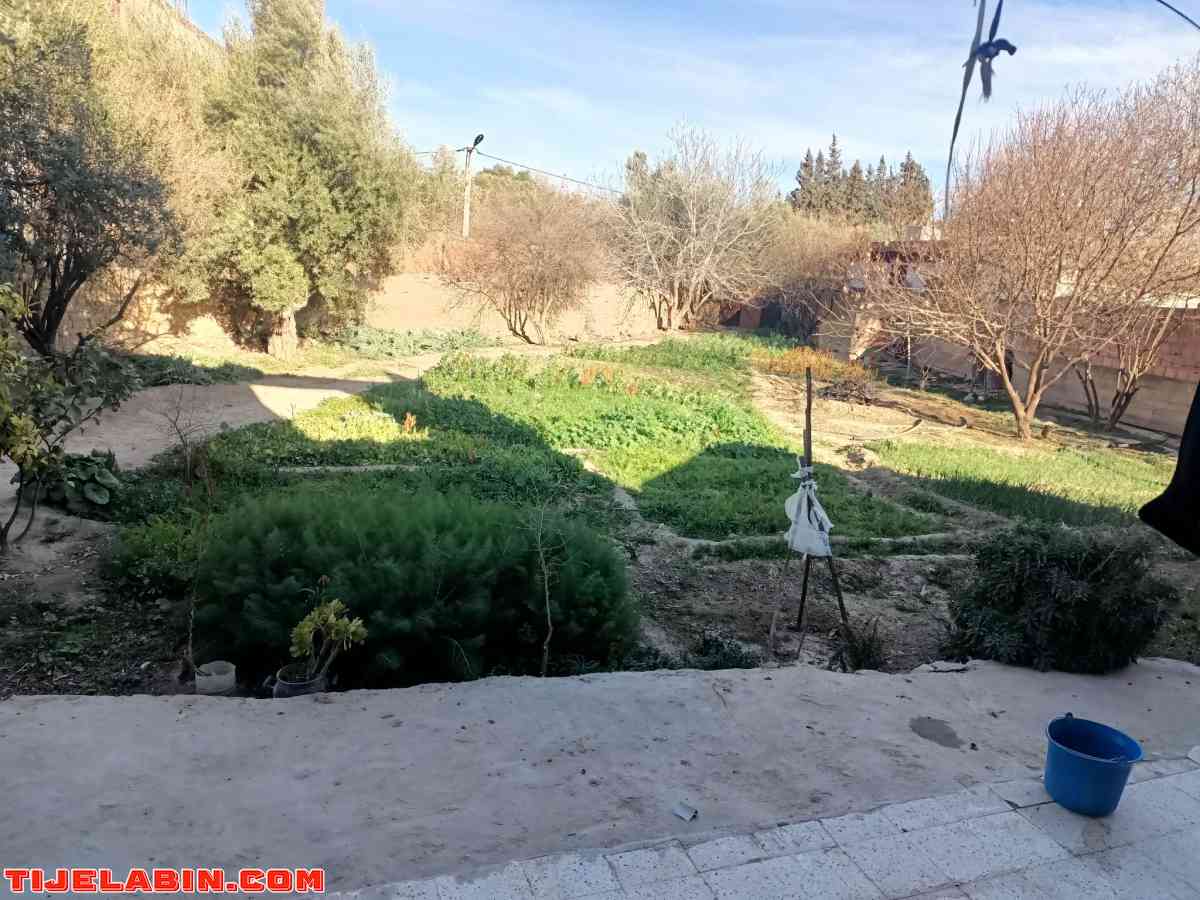 منزل ارضي  + ارض - Ngaous, Batna - Tijelabin