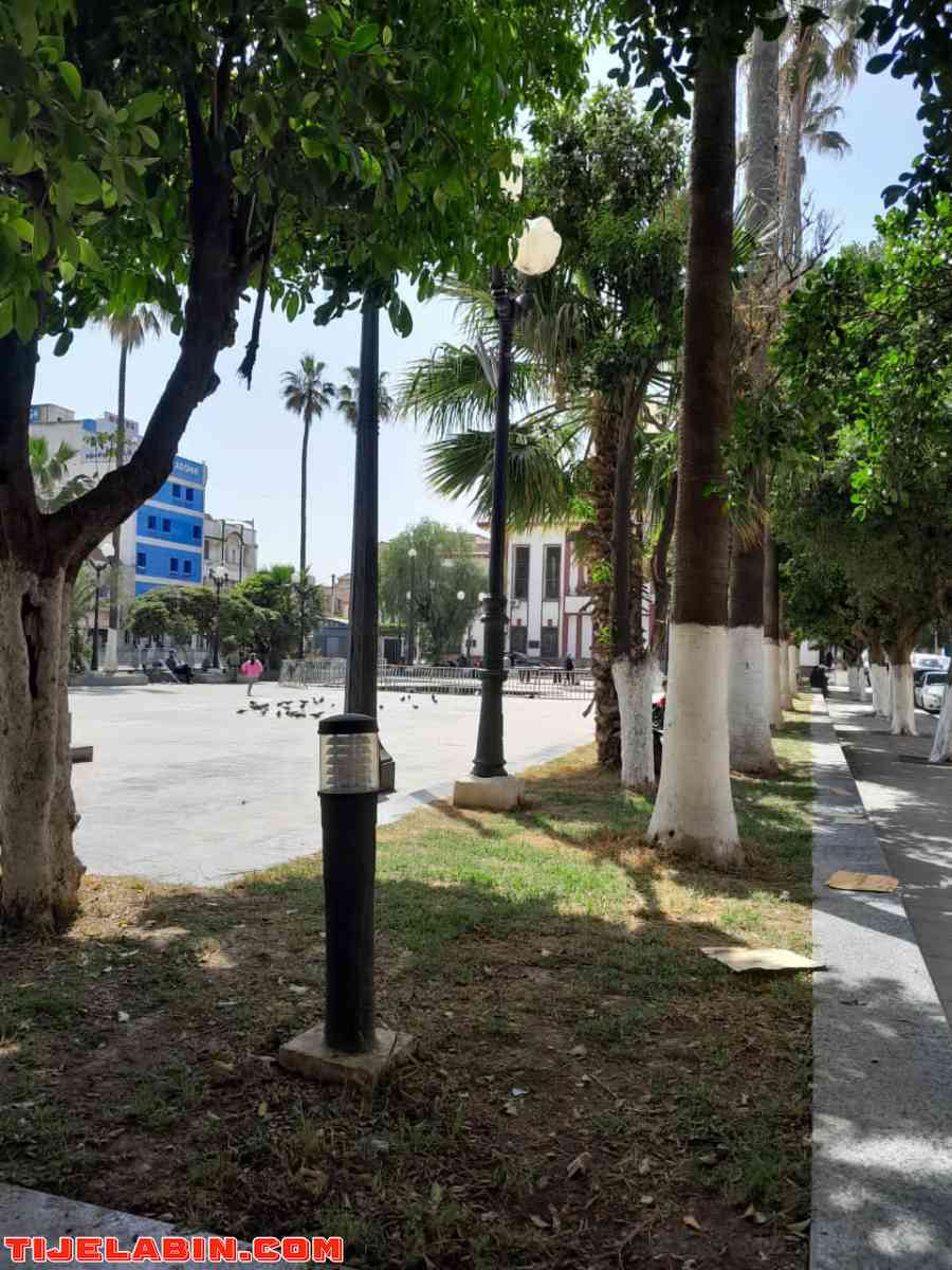 des appartements à Fort de l'eau 0550 33 13 40 - Alger Centre, Alger - Tijelabin