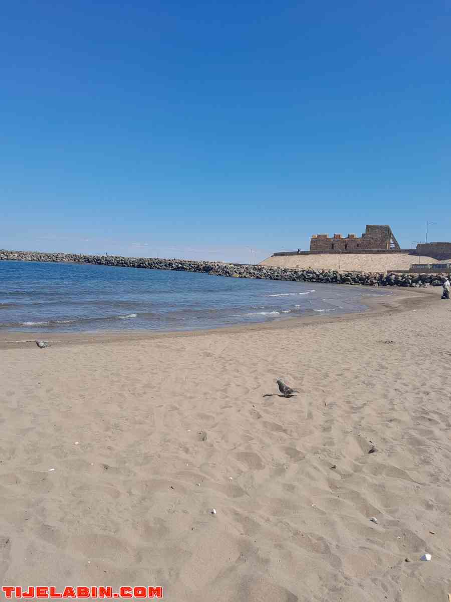 appartement F5 a ford l'eau 0550331340 - Bordj El Kiffan, Alger - Tijelabin