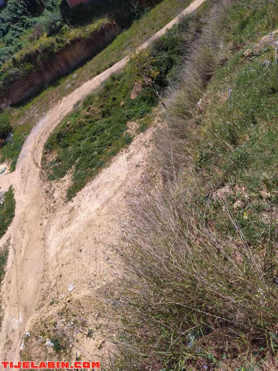 terrain - Saoula, Alger - Tijelabin