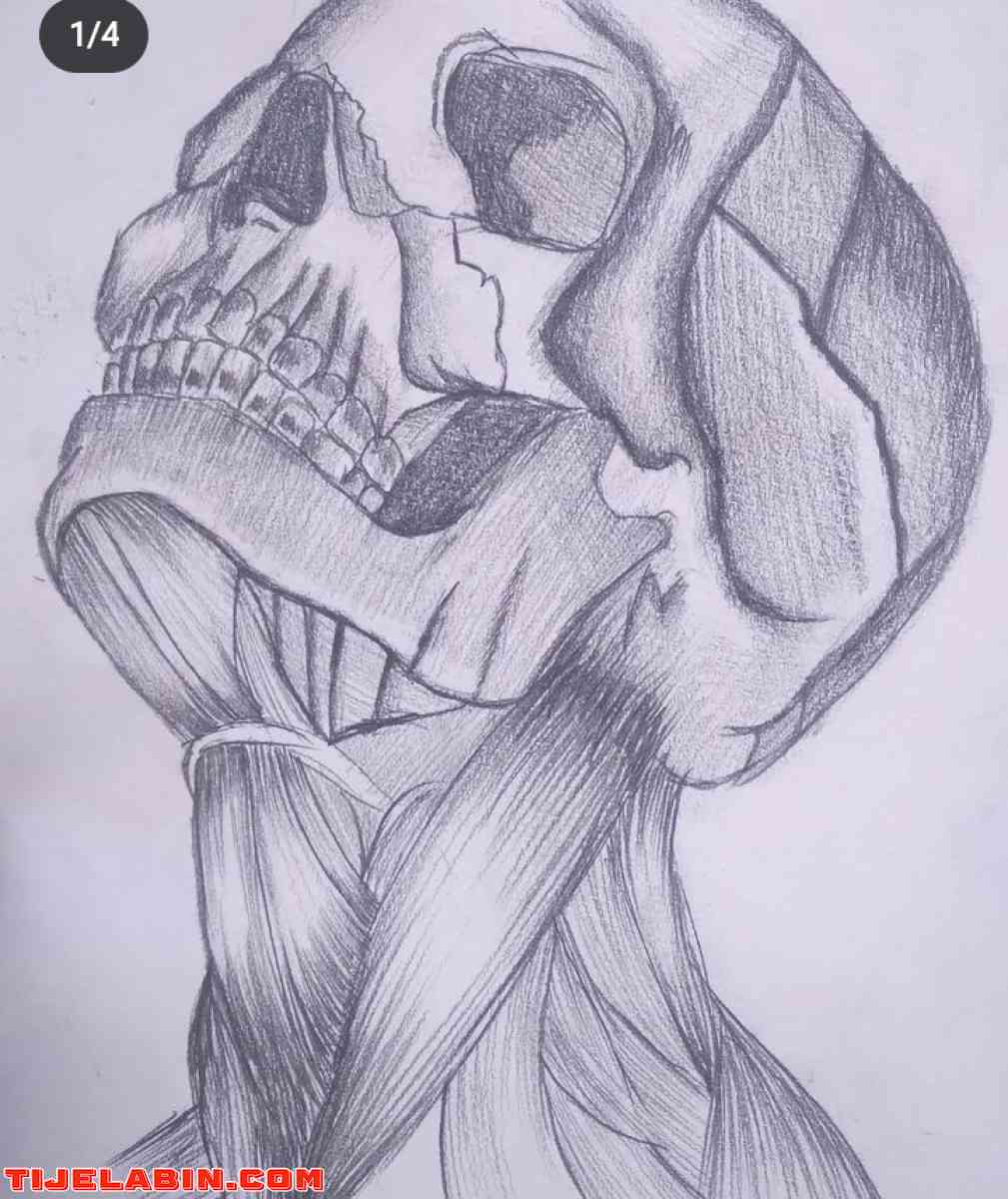 رسمات روعة  - Alger Centre, Alger