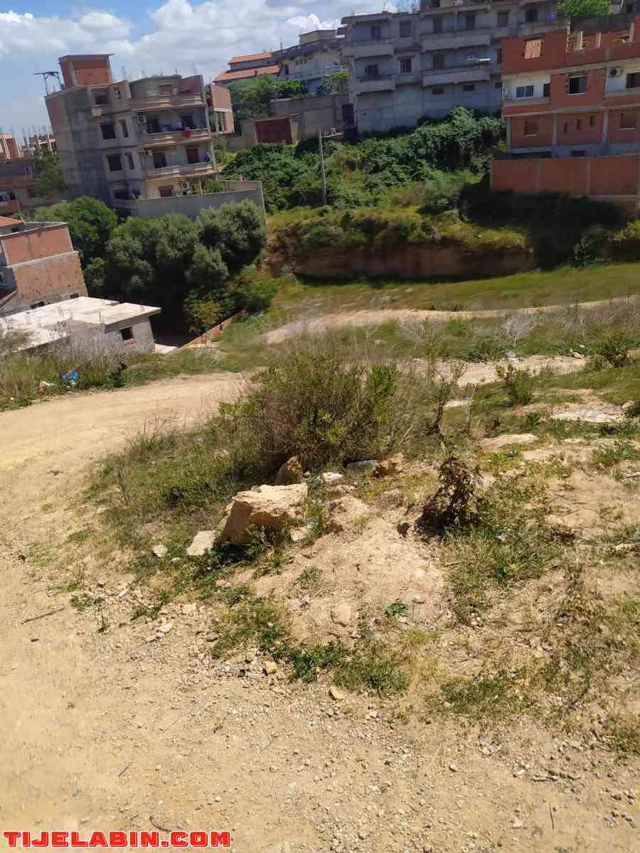 terrain - Saoula, Alger - Tijelabin