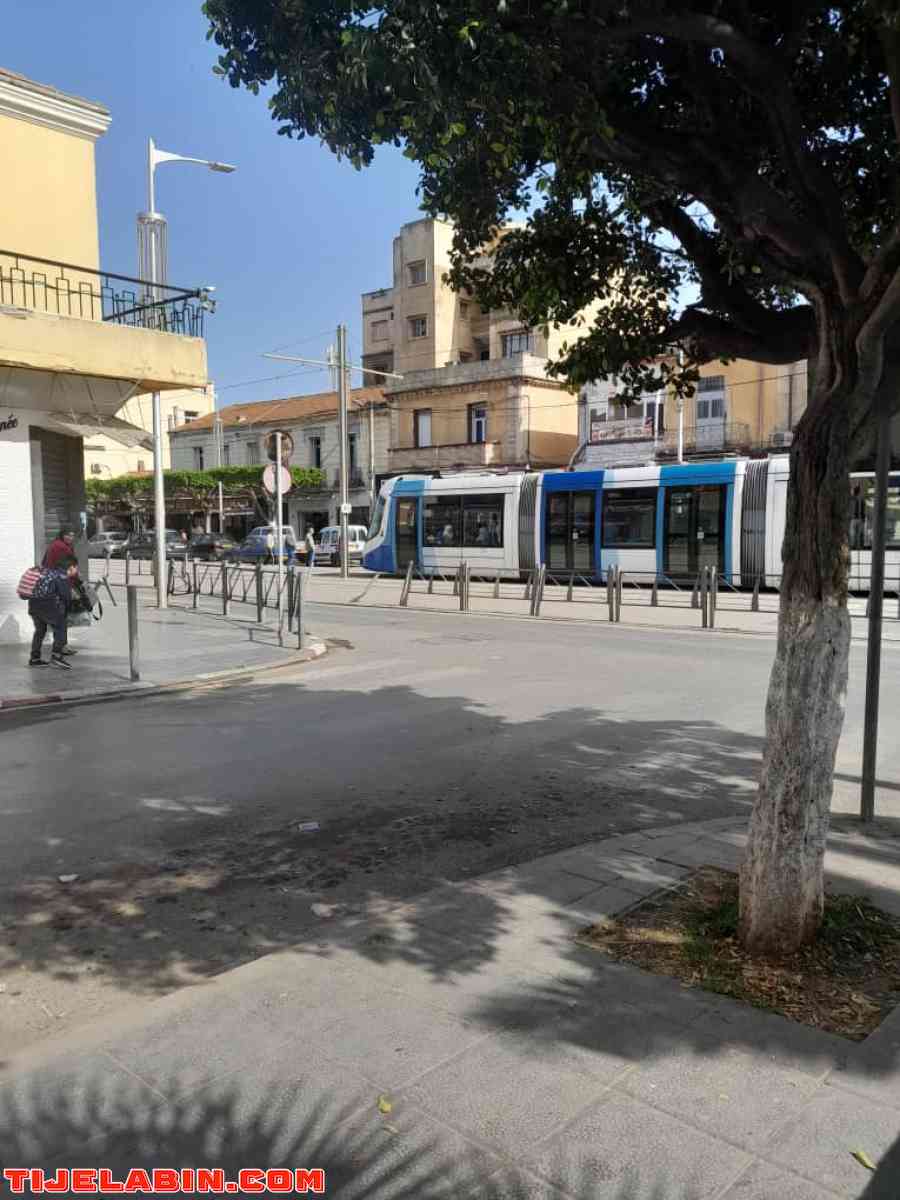 des appartements à Fort de l'eau 0550 33 13 40 - Alger Centre, Alger