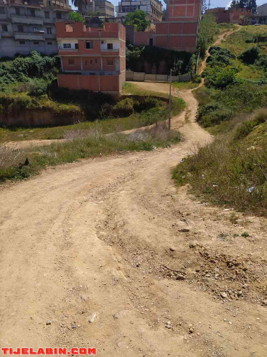 terrain - Saoula, Alger - Tijelabin