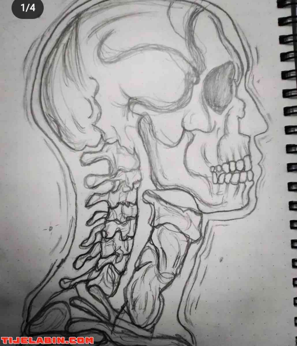 رسمات روعة  - Alger Centre, Alger - Tijelabin