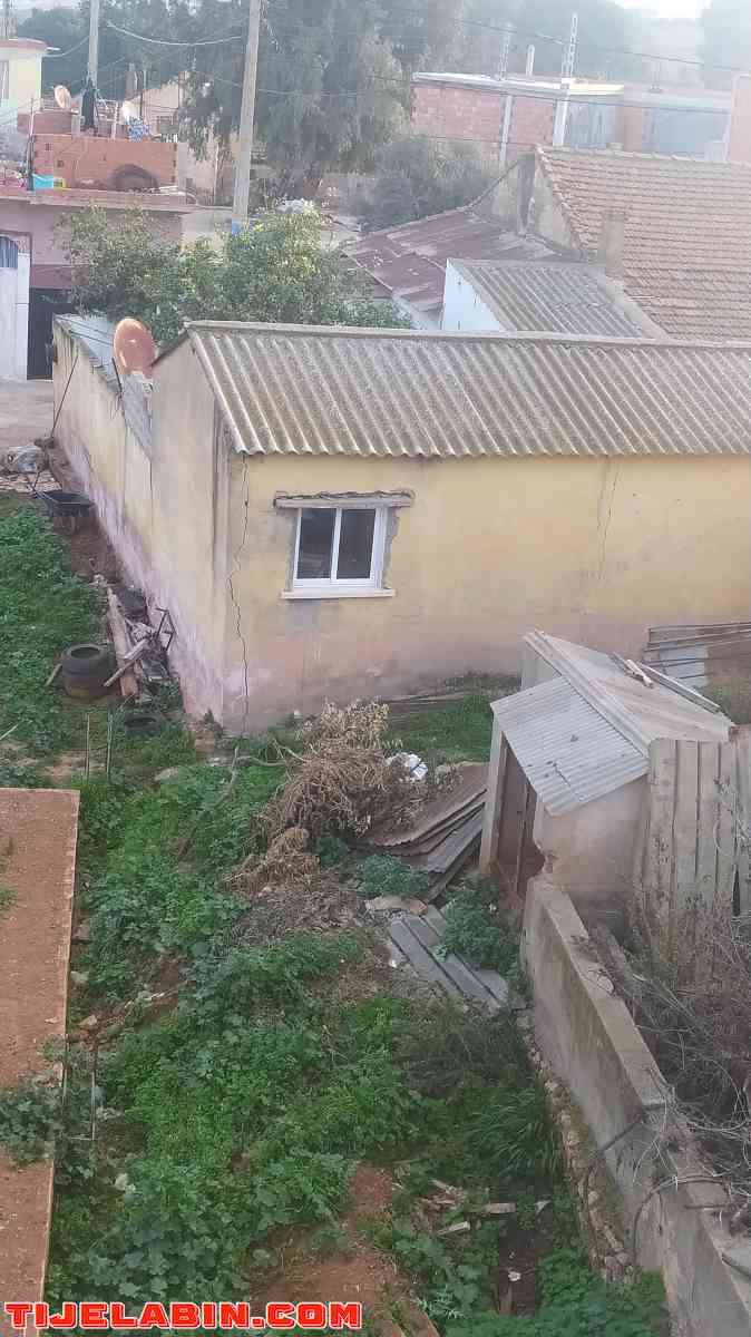 دار عرب للبيع - Khemisti, Tipaza - Tijelabin