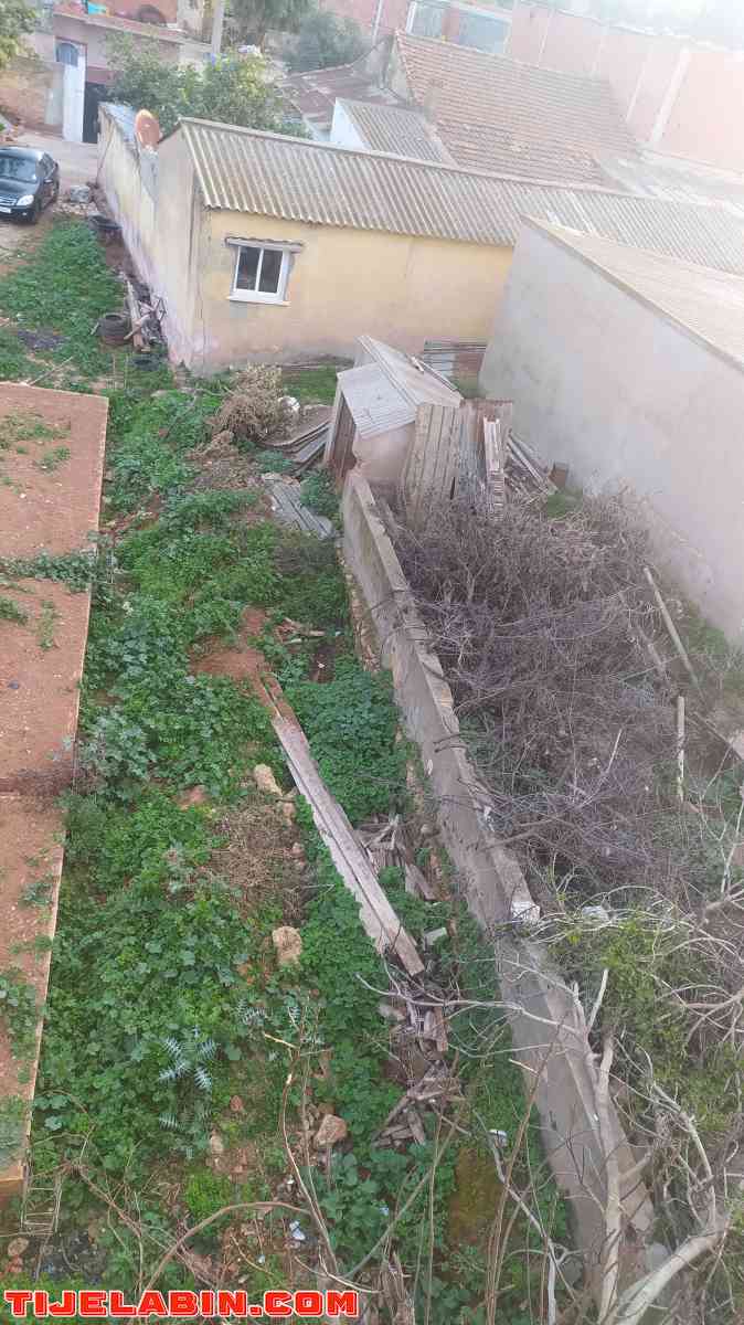 دار عرب للبيع - Khemisti, Tipaza - Tijelabin