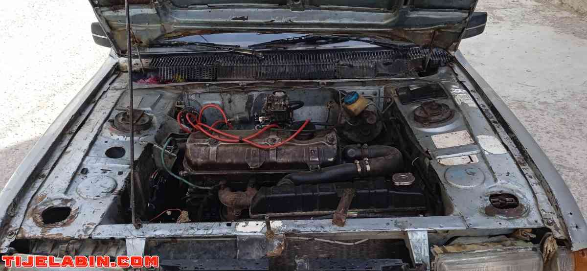 بيجوا305 - El Anseur, Bordj Bou Arreridj - Tijelabin